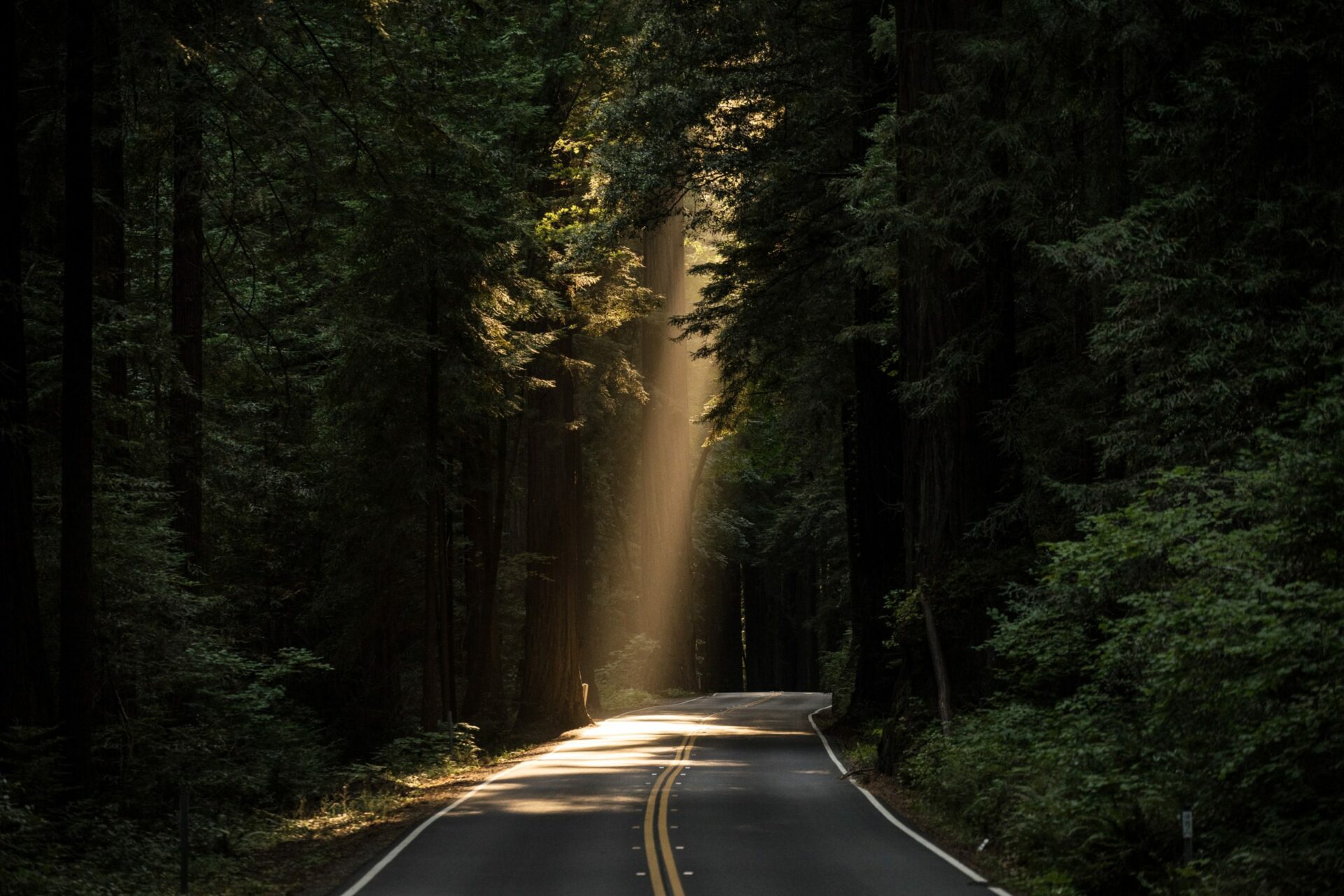 Aim Higher Training Releases Free Online Spotlight Courses.
