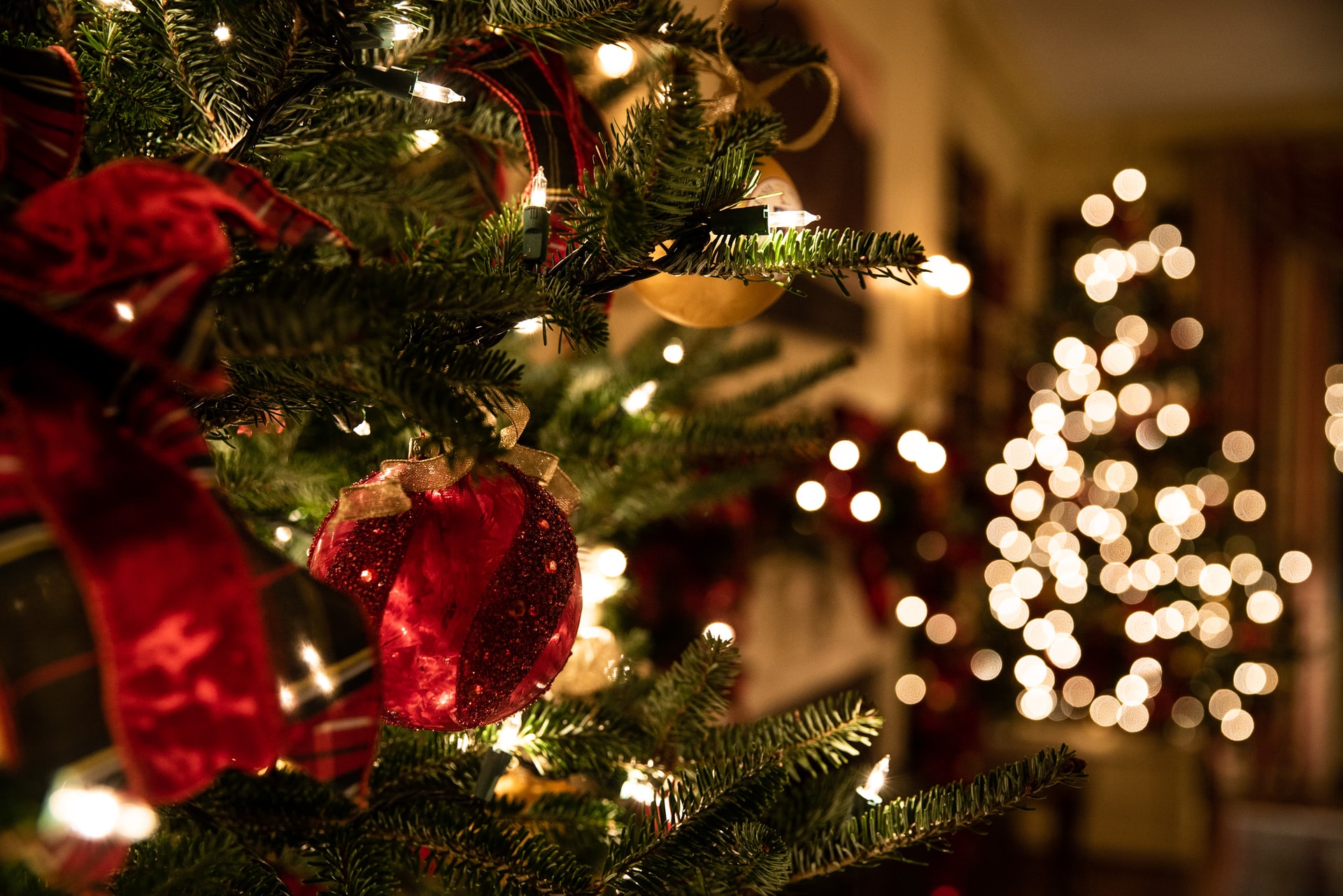 Christmas tree indoors